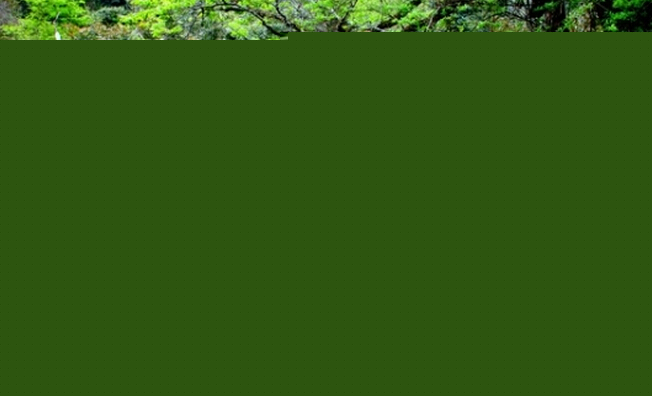 [青岛出发]青岛去贵州黄果树+西江+小七孔+花溪湿地+青岩古镇双飞5日